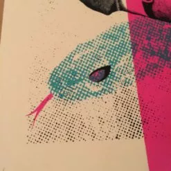 Chicago, IL Ariel Pink's - Delicious Design Poster Print Chicago IL Haunted Graffiti Dallas 11 Chicago, IL Ariel Pink's - Delicious Design Poster Print Chicago IL Haunted Graffiti Dallas