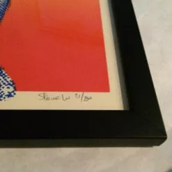 RIOT FEST 2012 Steve Walters Poster Print FRAMED Gogol Bordello FRAMED