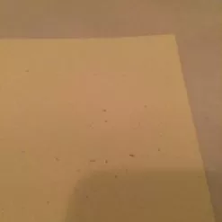 Gig Posters Cold War Kids - 2010 Third Alert Designs Poster Print California Signed And #'d 13 Gig Posters Cold War Kids - 2010 Third Alert Designs Poster Print California Signed And #'d