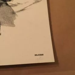 AIIA - Delicious Design Poster Print Chicago, IL Pitchfork Music Festival Union