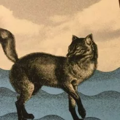 Jack White - 2014 Rob Jones Poster Print Fox Theater Pomona, CA Hand Signed #ed 14 Jack White - 2014 Rob Jones Poster Print Fox Theater Pomona, CA Hand Signed #ed