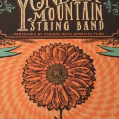Yonder Mountain String Band - 2014 Status Serigraph Poster Augusta GA Jessye Nor Gig Posters