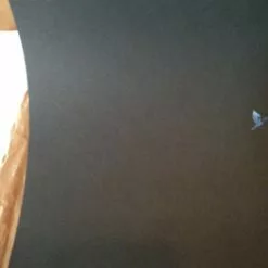 Gig Posters Jack White - 2014 DKNG Poster Print 1st Edition The Fillmore, Charlotte, NC 11 Gig Posters Jack White - 2014 DKNG Poster Print 1st Edition The Fillmore, Charlotte, NC