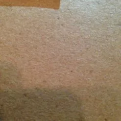 Bishop - 2014 Mike Mitchell Poster Print Signed And #'d MONDO Static Medium