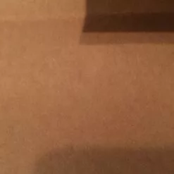 Geen Ween - 2/13/10 Lincoln Hall Delicious Design Poster Print Chicago, IL