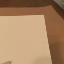 AIIA - Delicious Design Poster Print Chicago, IL Pitchfork Music Festival Union