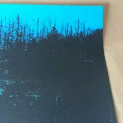 Borgman - 2014 Jay Shaw Poster MONDO Hand Numbered Movie Cinema