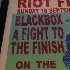 RIOT FEST 2012 Steve Walters Poster Print FRAMED Gogol Bordello FRAMED