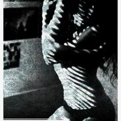 Arctic Monkeys - 2014 Third Alert Designs Poster Charlotte The Fillmore Gig Posters