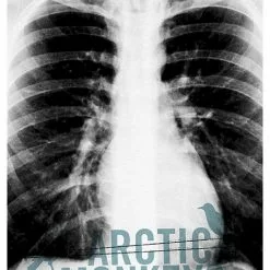 Gig Posters Arctic Monkeys - 2014 Third Alert Designs Poster Richmond