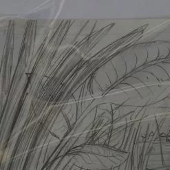 Art Prints The Enormous Crocodile - 2015 Zeb Love Original Sketch Drawing