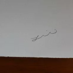 Jay Turner/The Lie Wolverine - 2016 Jay Turner The Lie Poster Print C2E2 Hand Signed And Numbered