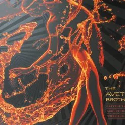 The Avett Brothers - 2015 Todd Slater Poster Print Wheeling, WV Capitol X/200