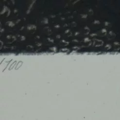 Nightfall - 2016 Andrew Ghrist Poster Print BONES Galerie F #1 Art Prints 17 Nightfall - 2016 Andrew Ghrist Poster Print BONES Galerie F #1 Art Prints