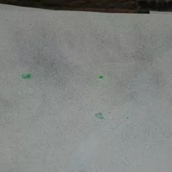 Palynology - Ludo 2016 Screen Printed Poster Signed/numbered Hand Finished 14 Palynology - Ludo 2016 Screen Printed Poster Signed/numbered Hand Finished