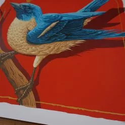 Art Prints Lazuli (Blue Bird) - 2016 Andrew Ghrist Poster Galerie F