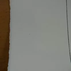 Be A Voice Not An Echo - 2015 Hijack Poster Street Art Brainwash Mr Brainwash