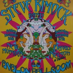 Gig Posters Steve Kimock Band - 2003 Dennis Loren Poster Avalon Ballroom