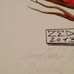 SURVIVAL 05 - 2013 Zed1 Poster Print Art Print Ed. Of 20 Hand Embellished S/N
