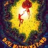 Dave Matthews - 2018 James Flames Poster Holmdel, NJ PNC Bank Arts Center