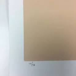 Art Prints Untitled (Tan Psych) - 2008 Mike Budai Poster Art Print