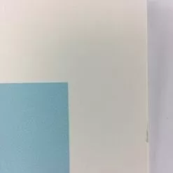 I Used To Think I Wanted Kids - 2013 Justin Santora Poster Art Print