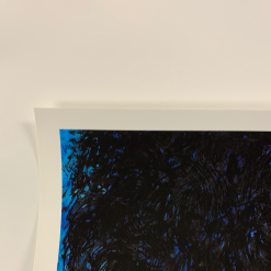 Bob Dylan - 2020 Joey Feldman Poster Art Print AP Gig Posters