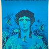 Dave Matthews Band - 2013 Methane Poster Wantagh, NY Jones Beach Gig Posters