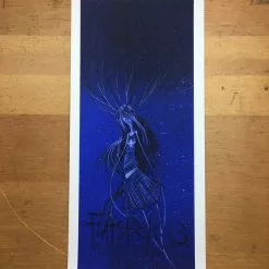 Flatstock 13 - 2007 Daniel Danger Poster Chicago, IL Union Park