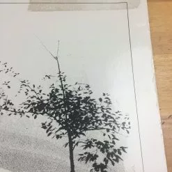 Sold Out Posters Manhattan - 1979 Cinema Poster, Movie Print, Original