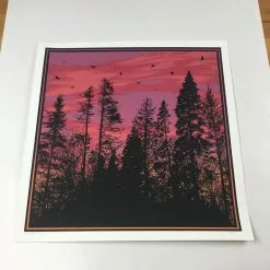 Art Prints Big Birds Flying Across The Sky - 2011 Dan McCarthy Poster Art Print