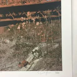 Luke Bryan - 2013 Dan MacAdam Crosshair Poster Toledo, OH Huntington Center