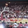 Sold Out Posters The Chicago Bulls - 1991 Brad Bennett Michael Jordan Poster Original Vintage