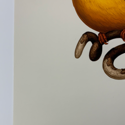 Fat Bird - 2020 Mike Mitchell Poster Rufous-Backed Dwarf Kingfisher 1st Art Prints 13 Fat Bird - 2020 Mike Mitchell Poster Rufous-Backed Dwarf Kingfisher 1st Art Prints