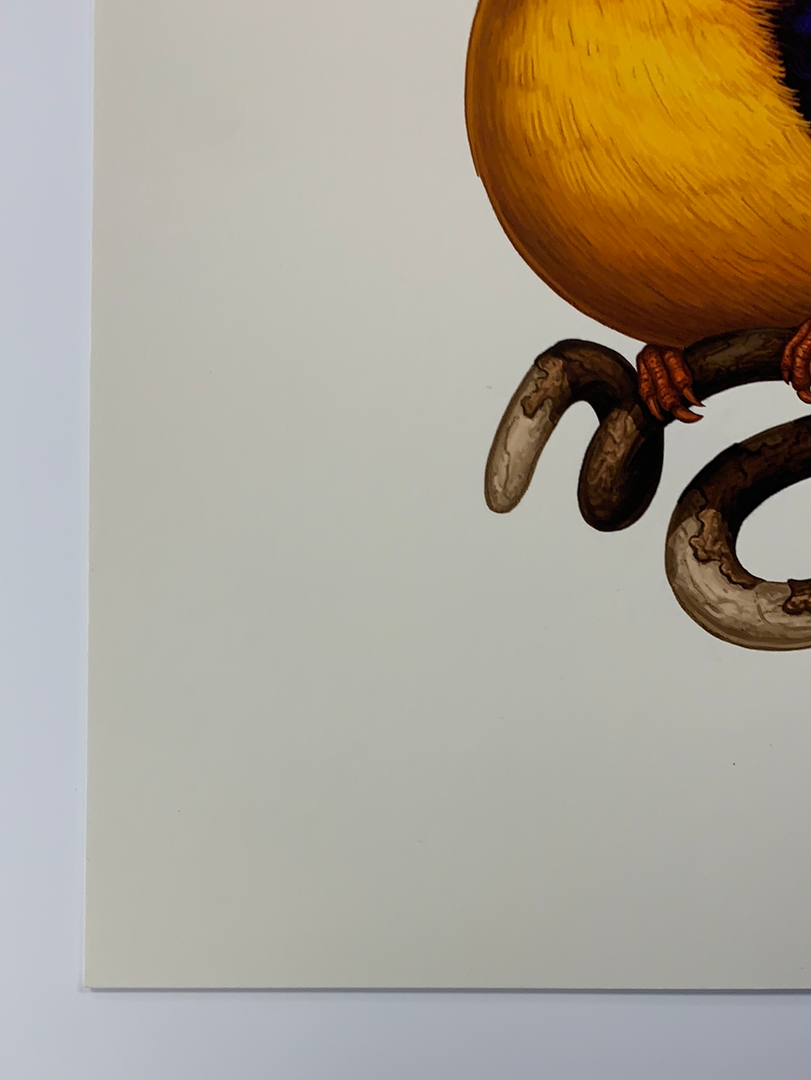 Fat Bird - 2020 Mike Mitchell Poster Rufous-Backed Dwarf Kingfisher 1st Art Prints 8 Fat Bird - 2020 Mike Mitchell Poster Rufous-Backed Dwarf Kingfisher 1st Art Prints