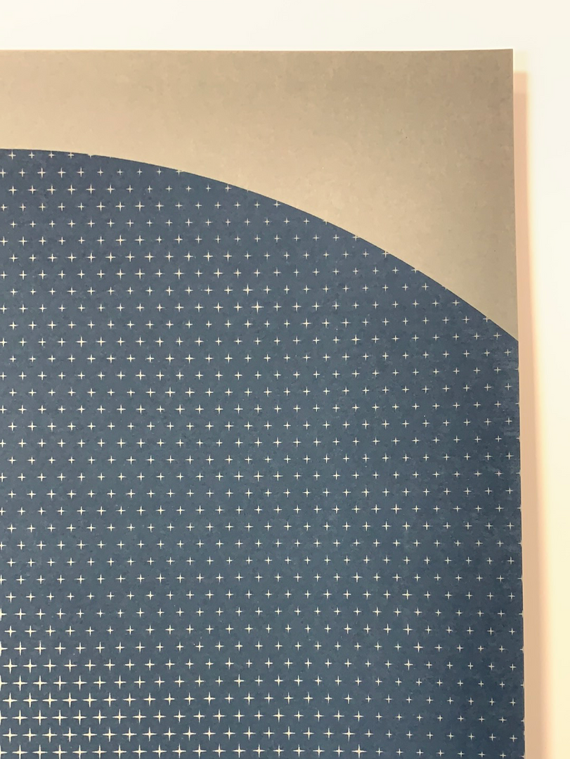 Carl Sagan - 2016 Justin Van Genderen Poster 1st Edition 6 Carl Sagan - 2016 Justin Van Genderen Poster 1st Edition