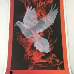 Birth Of A Phoenix #1 - 2010 Todd Slater Poster Art Print Art Prints