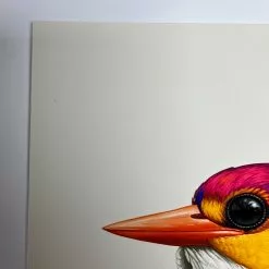 Fat Bird - 2020 Mike Mitchell Poster Rufous-Backed Dwarf Kingfisher AP Art Prints