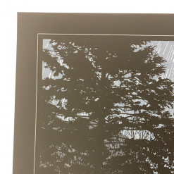 As The World Turns - 2010 Dan McCarthy Poster Art Print Art Prints