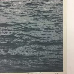 Cranes - 2011 Dan MacAdam Crosshair Poster Art Print Art Prints