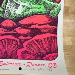 Colorado Disco Biscuits - 2022 Nathaniel Deas Poster Denver, CO Mission