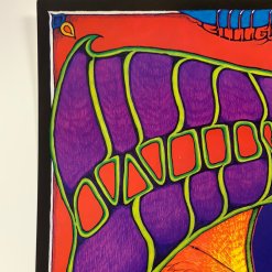 BGP 221 Widespread Panic - 1999 Dave Huckins The Warfield Theatre San Fran 1st Gig Posters