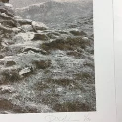 Dead Meadow/Sweet Apple - 2011 Dan MacAdam Crosshair Poster Los Angeles, CA Spac