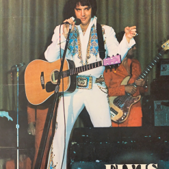 Sold Out Posters Gig Posters Elvis - 1977 Rick Henson Original Poster Austin, Texas 3/28/1977