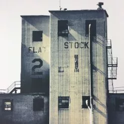 Flatstock 21 - 2009 Dan MacAdam Crosshair Poster Chicago, IL Union Park