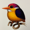 Fat Bird - 2020 Mike Mitchell Poster Rufous-Backed Dwarf Kingfisher 1st Art Prints 2 Fat Bird - 2020 Mike Mitchell Poster Rufous-Backed Dwarf Kingfisher 1st Art Prints