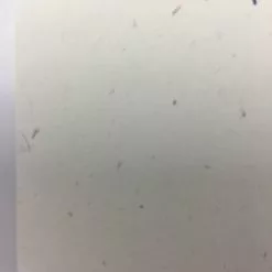 One Day I'll Be On Time - 2012 Dan McCarthy Poster Art Print Art Prints