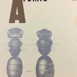 Sold Out Posters Vandermark 5 - 2004 Poster Baltimore, MD Ottobar