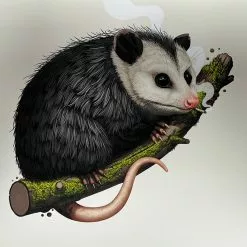 Virginia Opossum - 2018 Mike Mitchell Poster Art Print Variant