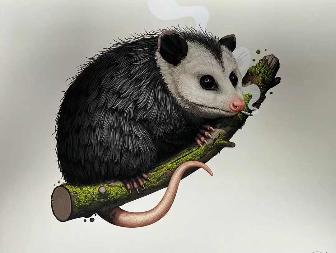 Virginia Opossum - 2018 Mike Mitchell Poster Art Print Variant 3 Virginia Opossum - 2018 Mike Mitchell Poster Art Print Variant